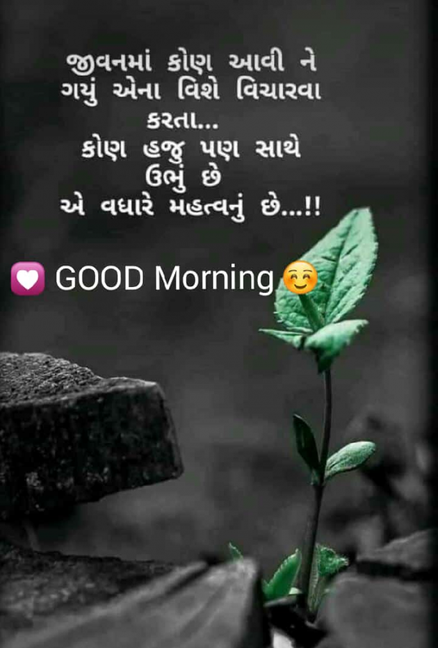 English Good Morning by Krunal Rathva : 111125252