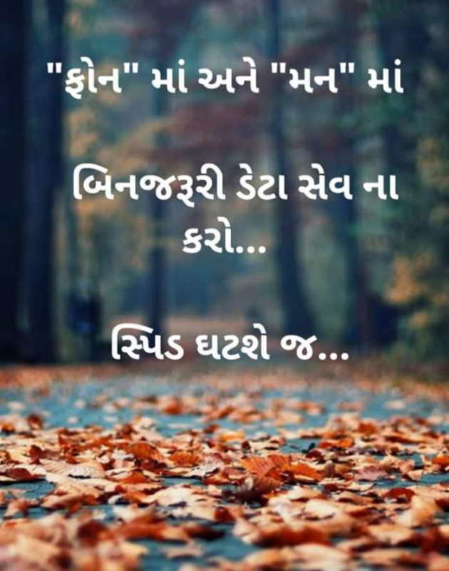 Gujarati Whatsapp-Status by Rizzu patel : 111125369