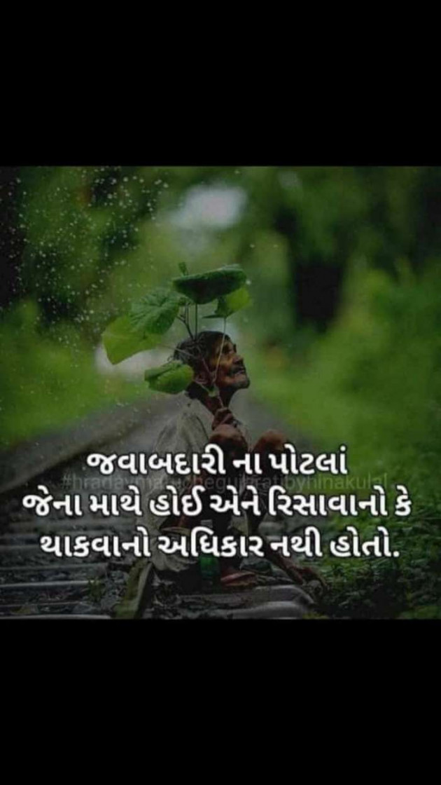 Gujarati Motivational by Shailesh jivani : 111125472