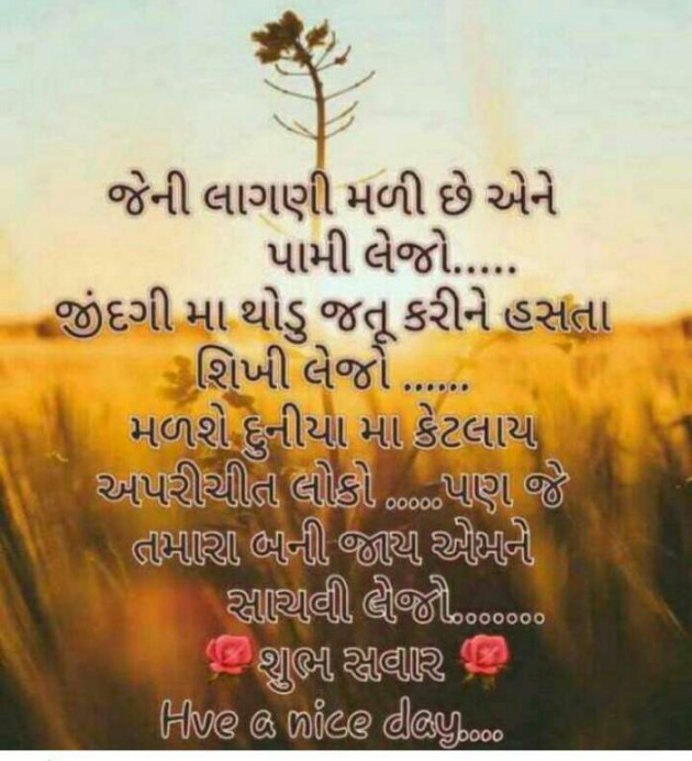 Gujarati Quotes by Mehul Kumar : 111125932