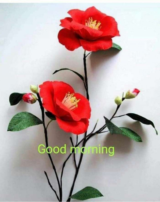 Gujarati Good Morning by Sanjay Joshi : 111126041