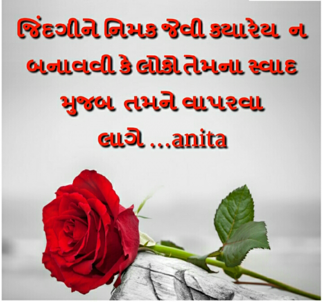 Gujarati Blog by Nai Anita : 111126340