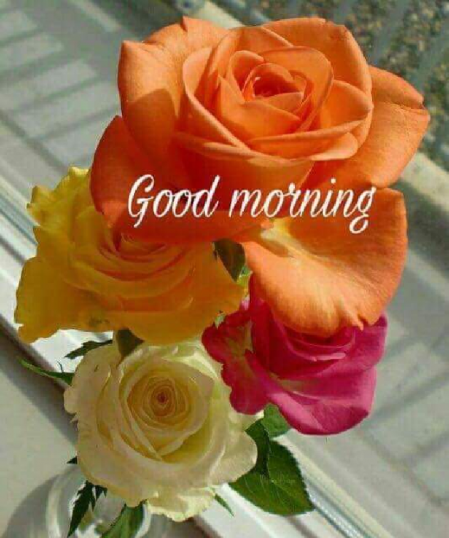 Hindi Good Morning by Mangal Mishra : 111127000
