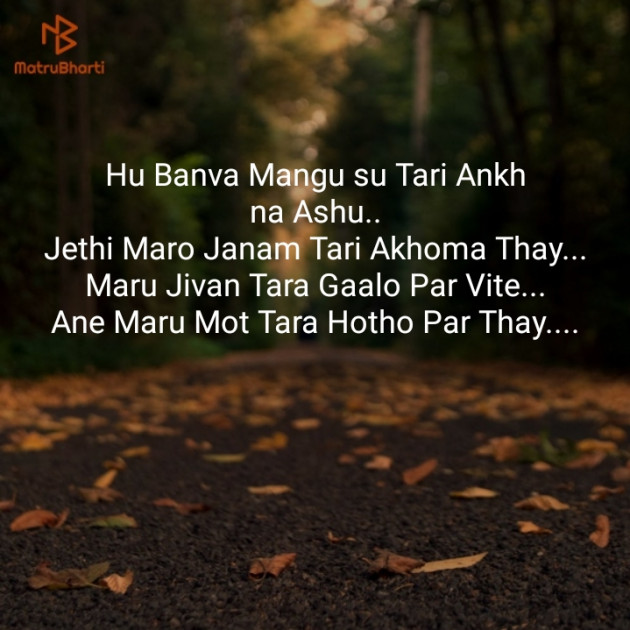 Gujarati Shayri by Mahendra Solanki : 111127158