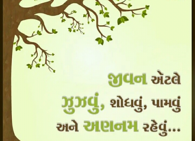 Gujarati Blog by Manish Patel : 111127229