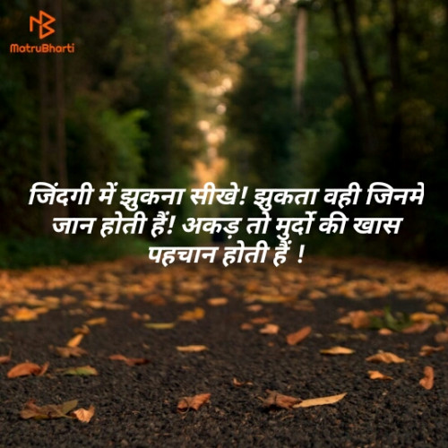 Post by Ajit Sundwa Choudhary on 06-Apr-2019 03:27pm