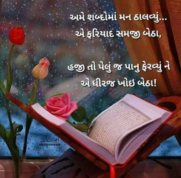 Gujarati Blog by Ridj : 111127441