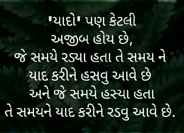 Gujarati Blog by Manish Patel : 111127985