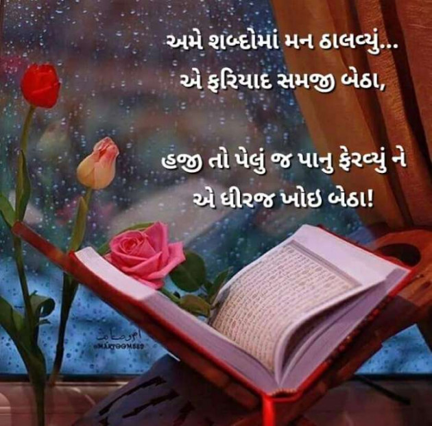 English Thought by Chirag vachhani : 111128214