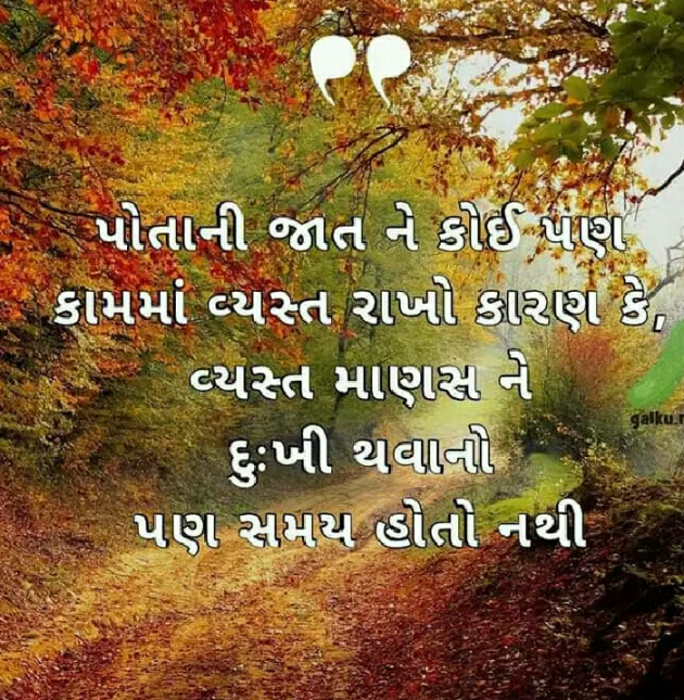 Gujarati Blog by Manish Patel : 111128745