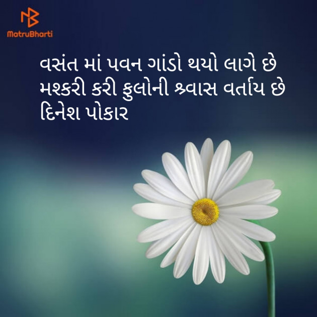Gujarati Shayri by Dinesh Patel : 111128823