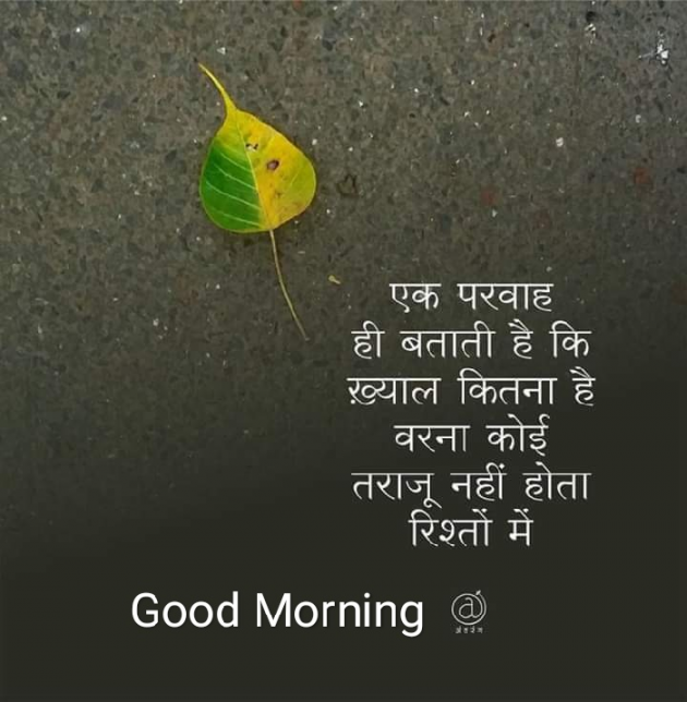 Gujarati Good Morning by Shailesh Rathod : 111128932