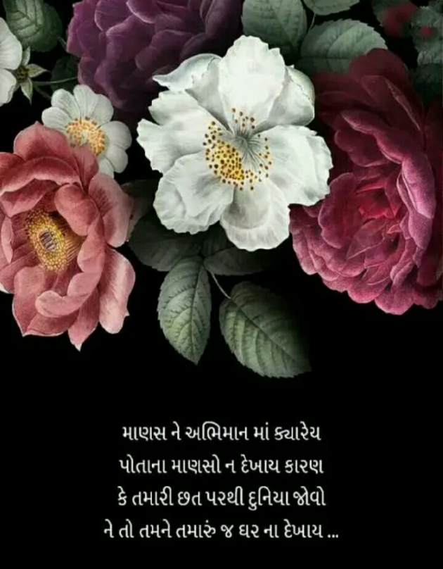 Gujarati Blog by Manish Patel : 111129037