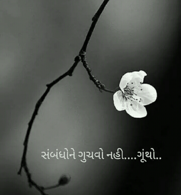 Gujarati Blog by Manish Patel : 111129052