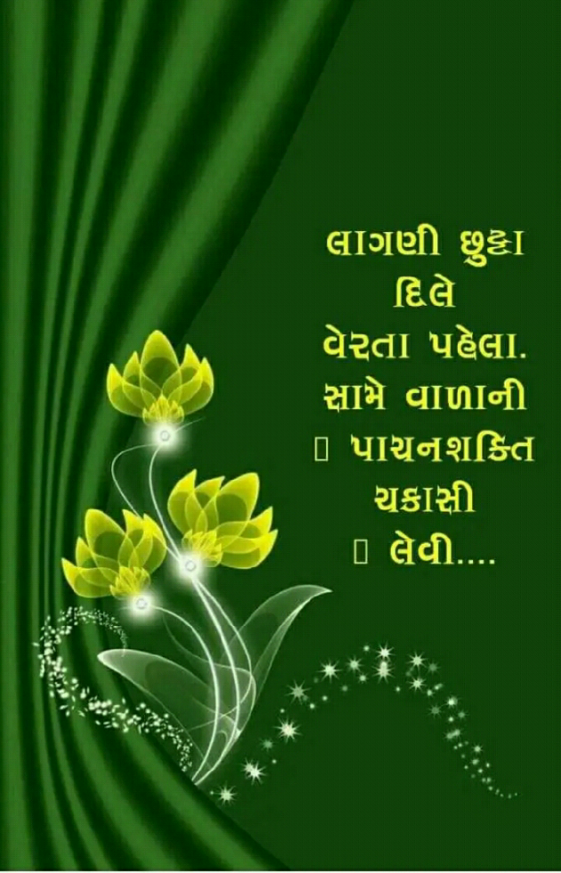 Gujarati Blog by Manish Patel : 111129546