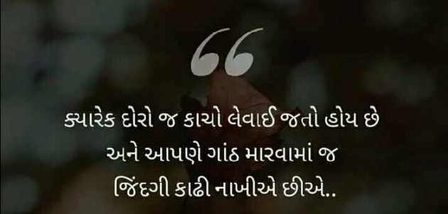 Gujarati Blog by Manish Patel : 111129576