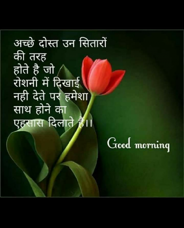 Gujarati Good Morning by Roy Ashvin : 111129904