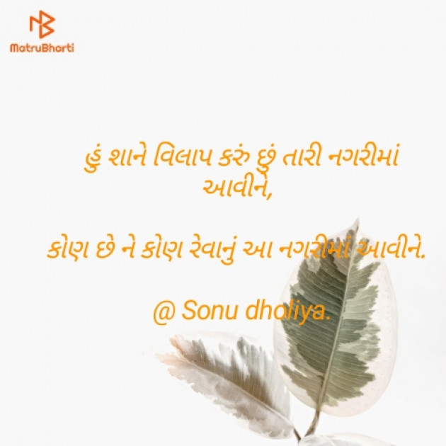Gujarati Blog by Sonu dholiya : 111129906