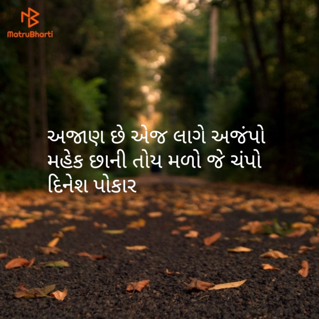 Gujarati Shayri by Dinesh Patel : 111129921