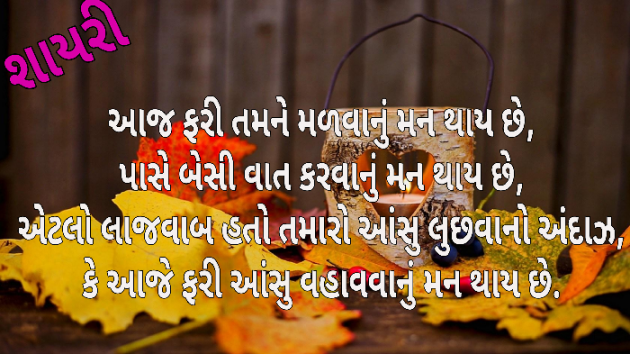 Gujarati Shayri by kishor solanki : 111130013