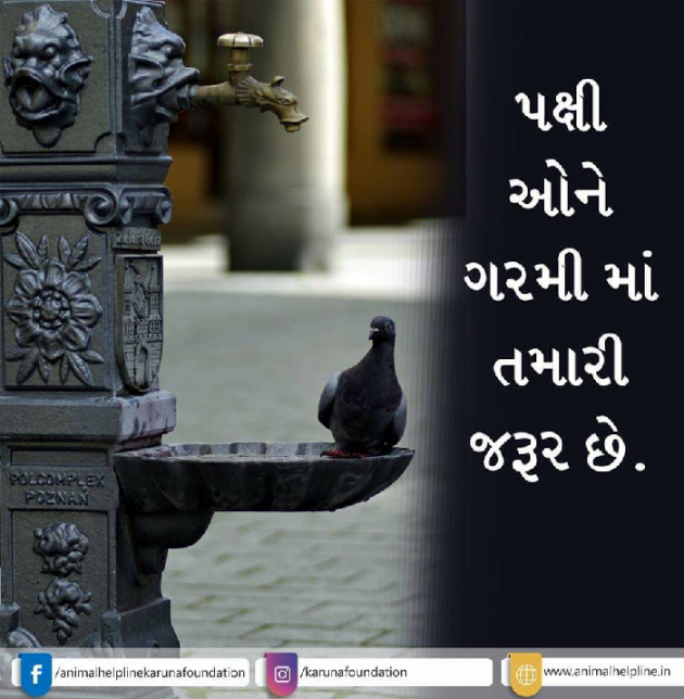 Gujarati Whatsapp-Status by Vipul Agravat : 111130216