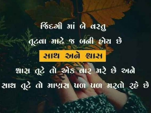 Gujarati Shayri by Jigi : 111130521