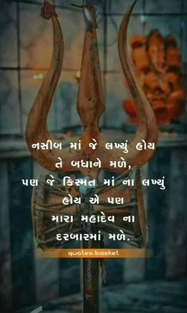 Gujarati Shayri by Naksh Parmar : 111130533