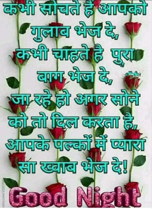 Hindi Shayri by Md Faizan Raza : 111130555