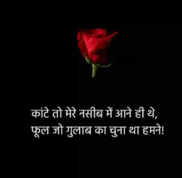 Hindi Shayri by Sushil Sharma : 111130570