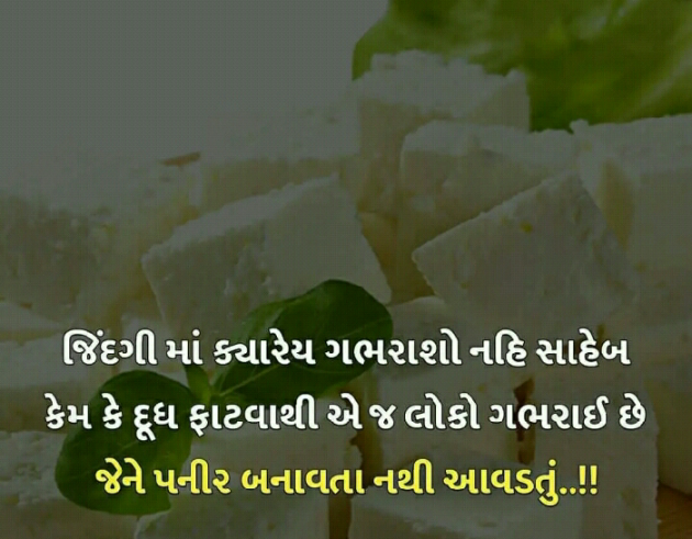 Gujarati Blog by Manish Patel : 111131808