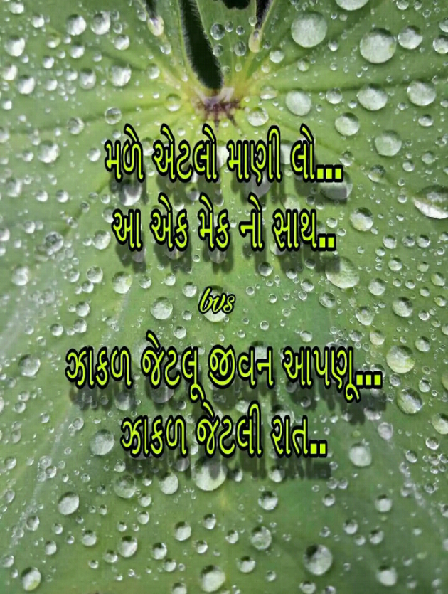 Gujarati Blog by Manish Patel : 111131905