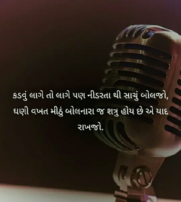 Gujarati Blog by Manish Patel : 111131921