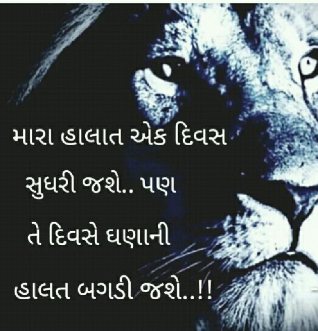 Gujarati Blog by Manish Patel : 111131946