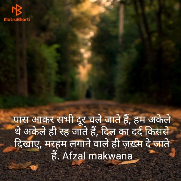 Hindi Shayri by Afzal Makwana : 111131954