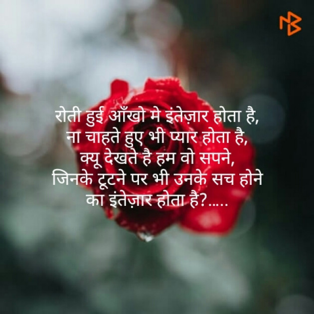 Hindi Shayri by Sushil Sharma : 111131959