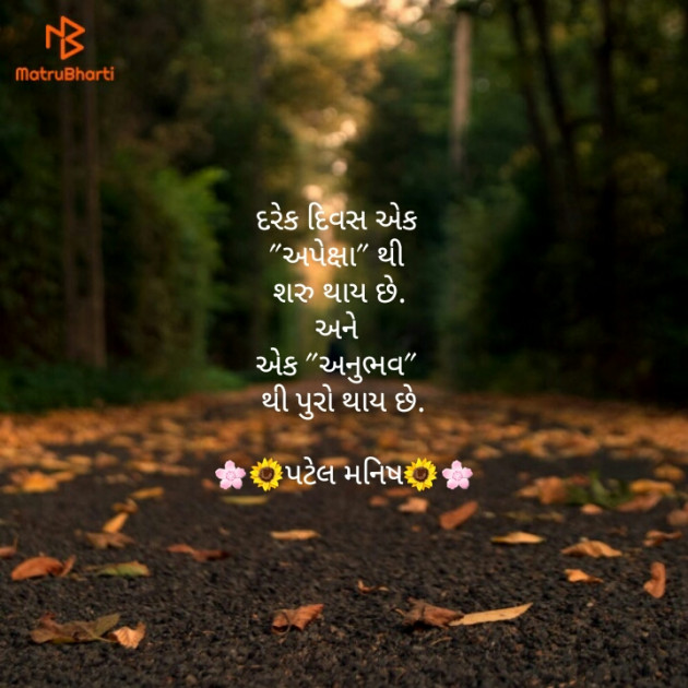 Gujarati Blog by Manish Patel : 111132574