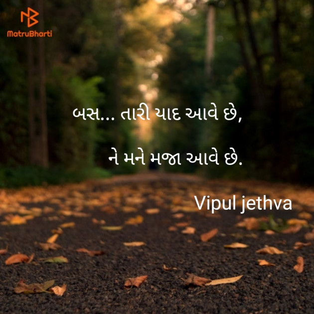 Gujarati Blog by Vipul : 111132826