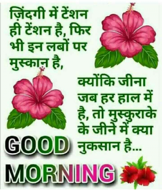 English Quotes by Bhanderi Paresh : 111133314