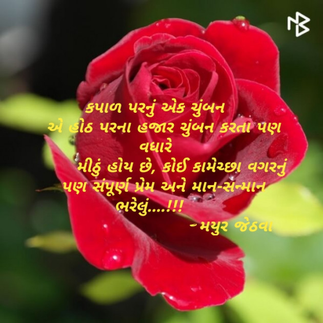 Gujarati Motivational by Mayur Jethava : 111133589