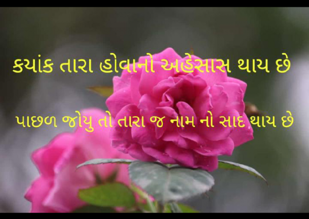 Gujarati Blog by Kothari Megha : 111133944