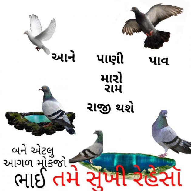 Gujarati Religious by Pravin.. : 111134025