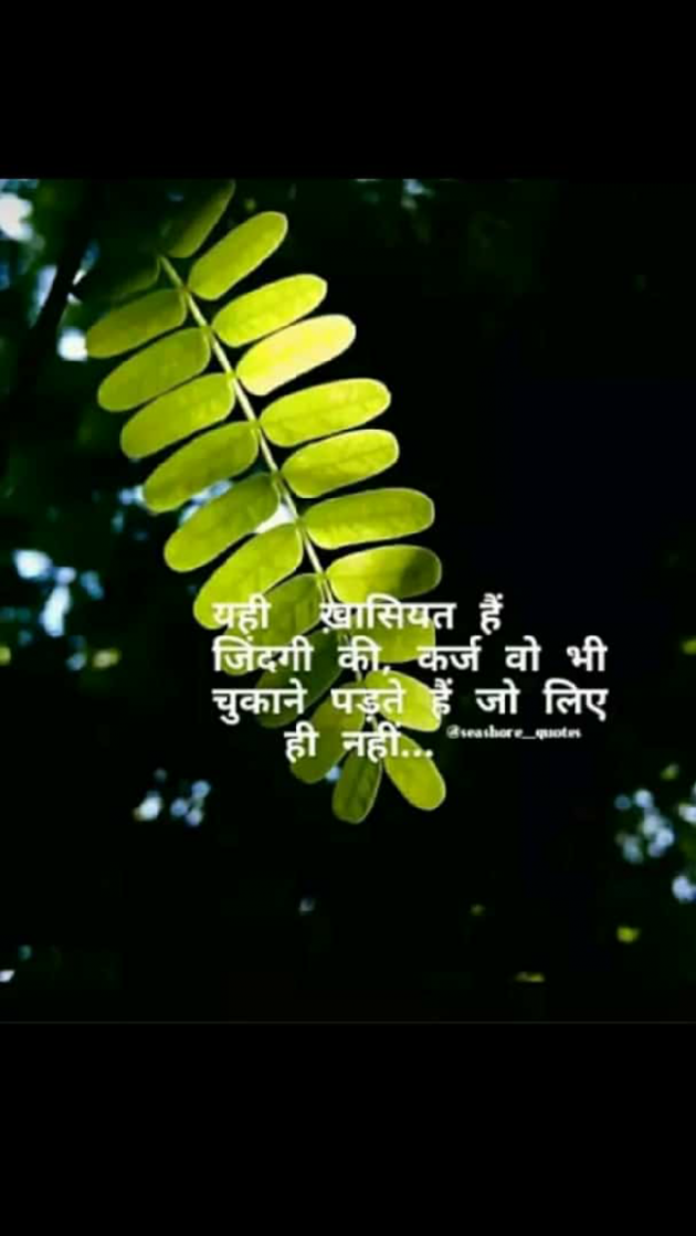 Hindi Shayri by Neha : 111134060