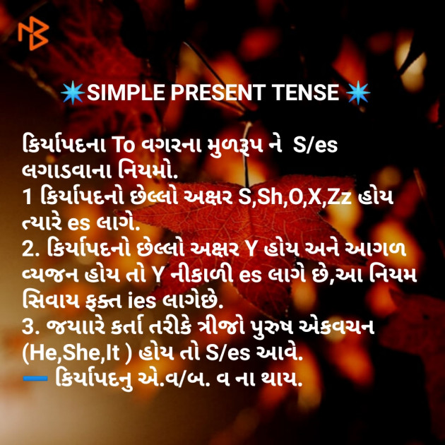 Gujarati Microfiction by Mr.Philosopher : 111134422