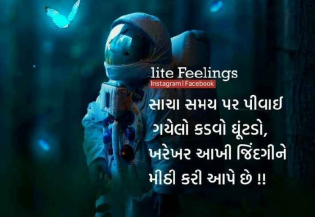 Gujarati Blog by Jigi : 111134496