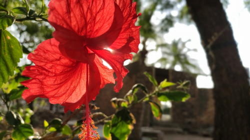 Post by JAYSUKH K Bambhaniya on 13-Apr-2019 03:31pm