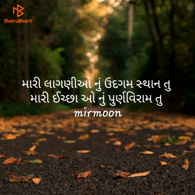 Gujarati Whatsapp-Status by mirmoon : 111134871