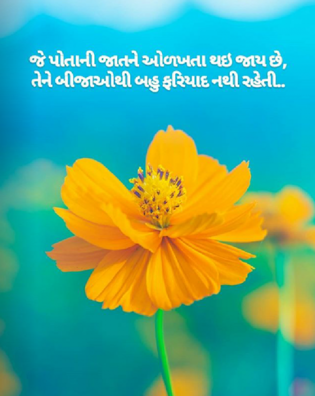 English Thought by Prachi Patel : 111135054