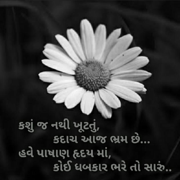 Gujarati Blog by Nidhi_Nanhi_Kalam_ : 111135185