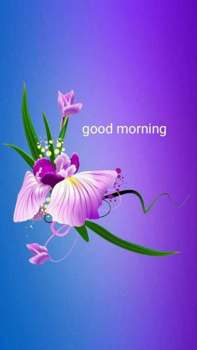 Gujarati Good Morning by Sanjay Joshi : 111135272