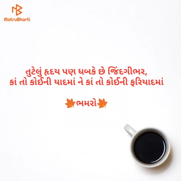 Gujarati Whatsapp-Status by Bhamro : 111135470